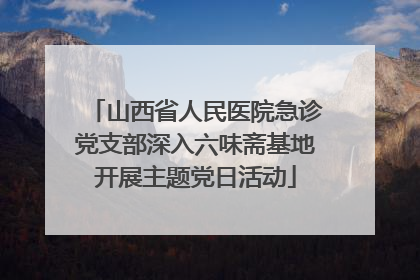 山西省人民医院急诊党支部深入六味斋基地开展主题党日活动