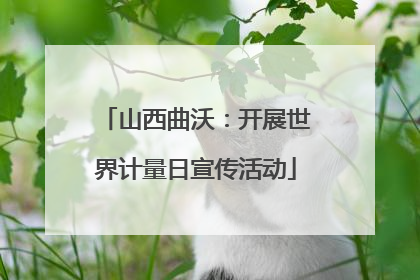山西曲沃：开展世界计量日宣传活动