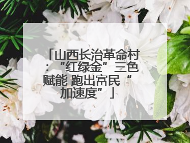 山西长治革命村：“红绿金”三色赋能 跑出富民“加速度”