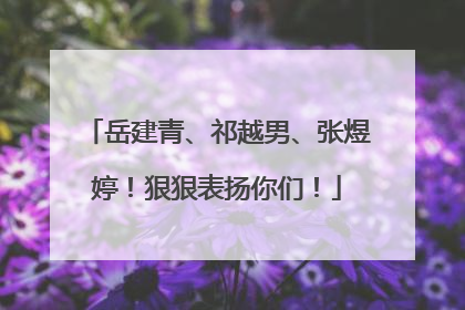 岳建青、祁越男、张煜婷！狠狠表扬你们！