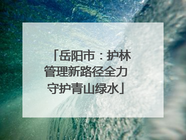 岳阳市：护林管理新路径全力守护青山绿水
