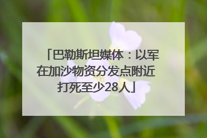巴勒斯坦媒体：以军在加沙物资分发点附近打死至少28人