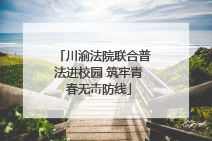 川渝法院联合普法进校园 筑牢青春无毒防线