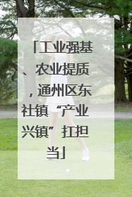 工业强基、农业提质,通州区东社镇“产业兴镇”扛担当