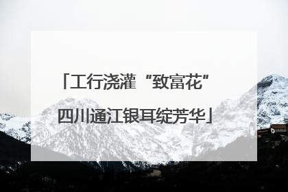 工行浇灌“致富花” 四川通江银耳绽芳华