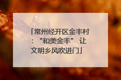 常州经开区金丰村：“和美金丰” 让文明乡风吹进门