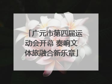 广元市第四届运动会开幕 奏响文体旅融合新乐章