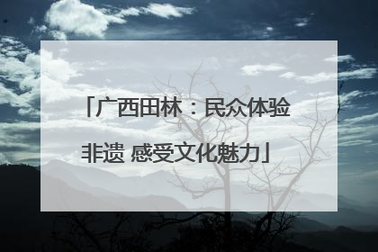 广西田林：民众体验非遗 感受文化魅力