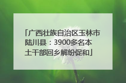 广西壮族自治区玉林市陆川县：3900多名本土干部回乡解纷促和