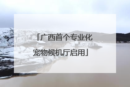 广西首个专业化宠物候机厅启用