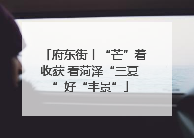 府东街丨“芒”着收获 看菏泽“三夏”好“丰景”