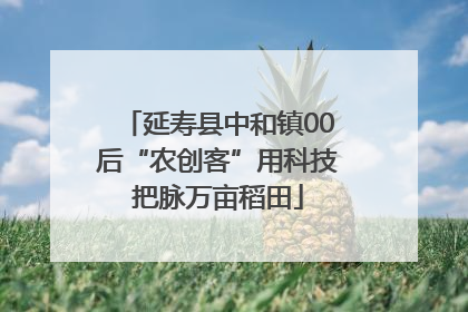 延寿县中和镇00后“农创客”用科技把脉万亩稻田