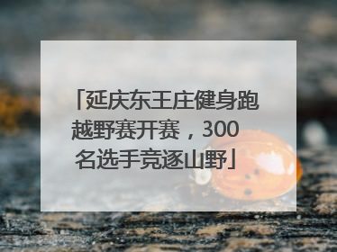 延庆东王庄健身跑越野赛开赛，300名选手竞逐山野