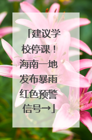建议学校停课！海南一地发布暴雨红色预警信号→