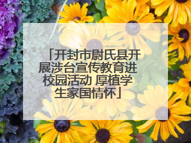 开封市尉氏县开展涉台宣传教育进校园活动 厚植学生家国情怀