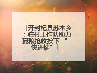开封杞县苏木乡：驻村工作队助力夏粮抢收按下 “快进键”