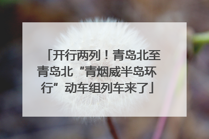 开行两列！青岛北至青岛北“青烟威半岛环行”动车组列车来了
