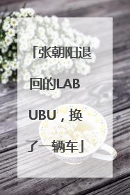 张朝阳退回的LABUBU，换了一辆车