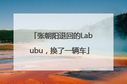 张朝阳退回的Labubu，换了一辆车