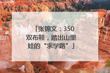 张锦文：350双布鞋，踏出山里娃的“求学路”