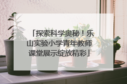 探索科学奥秘！乐山实验小学青年教师课堂展示绽放精彩
