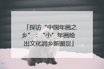 探访“中国年画之乡”：“小”年画绘出文化润乡新图景