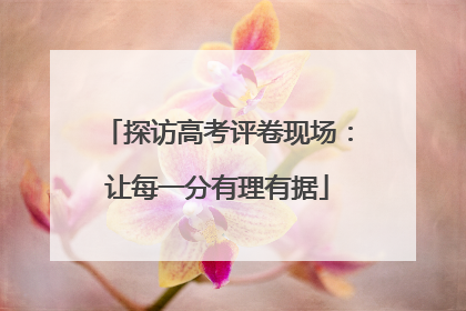 探访高考评卷现场：让每一分有理有据