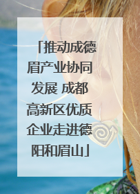 推动成德眉产业协同发展 成都高新区优质企业走进德阳和眉山