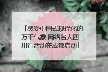 感受中国式现代化的万千气象 网络名人四川行活动在成都启动