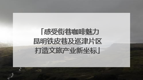 感受街巷咖啡魅力 昆明铁皮巷及巡津片区打造文旅产业新坐标