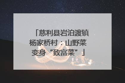 慈利县岩泊渡镇杨家桥村：山野菜变身“致富菜”