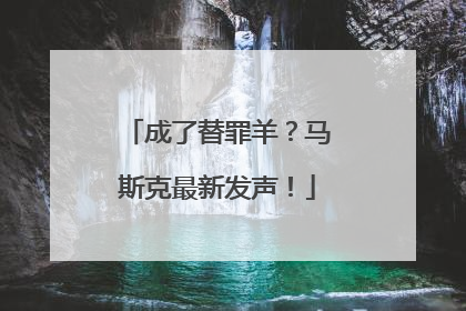 成了替罪羊？马斯克最新发声！