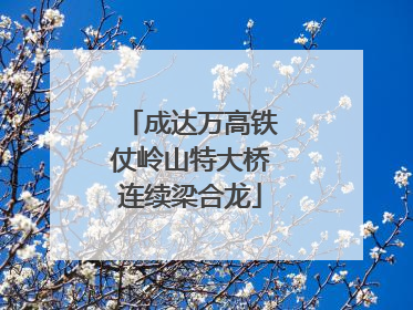 成达万高铁仗岭山特大桥连续梁合龙