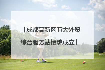 成都高新区五大外贸综合服务站授牌成立