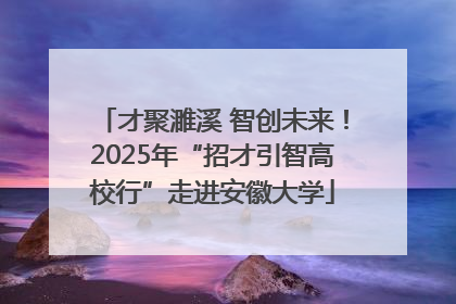 才聚濉溪 智创未来！2025年“招才引智高校行”走进安徽大学