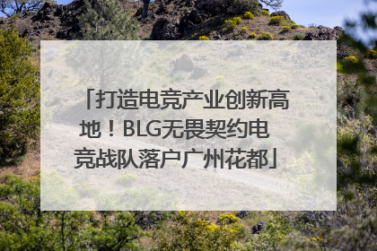 打造电竞产业创新高地！BLG无畏契约电竞战队落户广州花都
