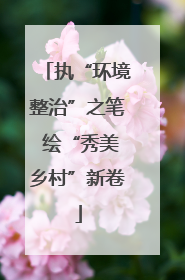 执“环境整治”之笔 绘“秀美乡村”新卷