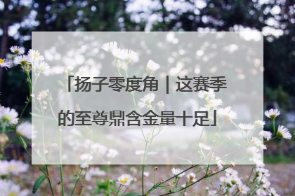 扬子零度角｜这赛季的至尊鼎含金量十足