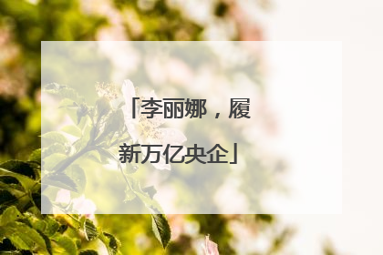 李丽娜，履新万亿央企