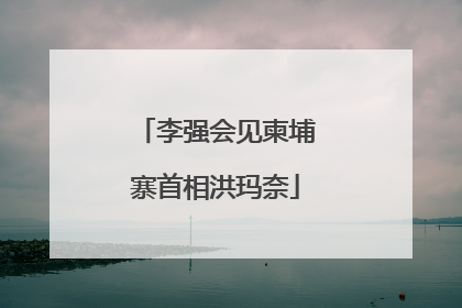李强会见柬埔寨首相洪玛奈