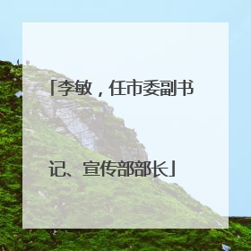 李敏，任市委副书记、宣传部部长