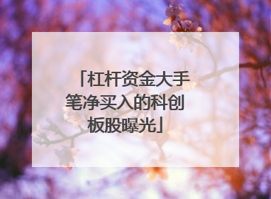 杠杆资金大手笔净买入的科创板股曝光