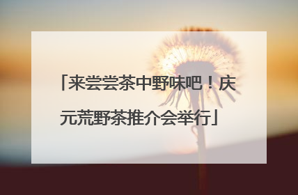 来尝尝茶中野味吧！庆元荒野茶推介会举行