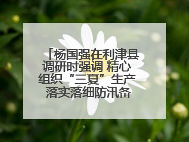 杨国强在利津县调研时强调 精心组织“三夏”生产 落实落细防汛备汛工作