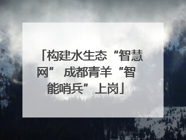 构建水生态“智慧网” 成都青羊“智能哨兵”上岗