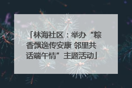 林海社区：举办“粽香飘逸传安康 邻里共话端午情”主题活动