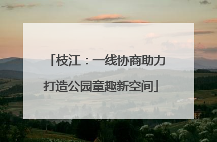 枝江：一线协商助力打造公园童趣新空间