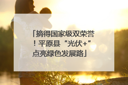 摘得国家级双荣誉！平原县“光伏+”点亮绿色发展路