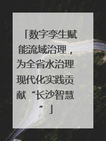 数字孪生赋能流域治理，为全省水治理现代化实践贡献“长沙智慧”