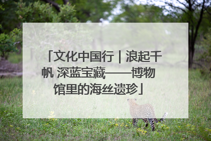 文化中国行｜浪起千帆 深蓝宝藏——博物馆里的海丝遗珍
